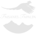 cropped 03.png